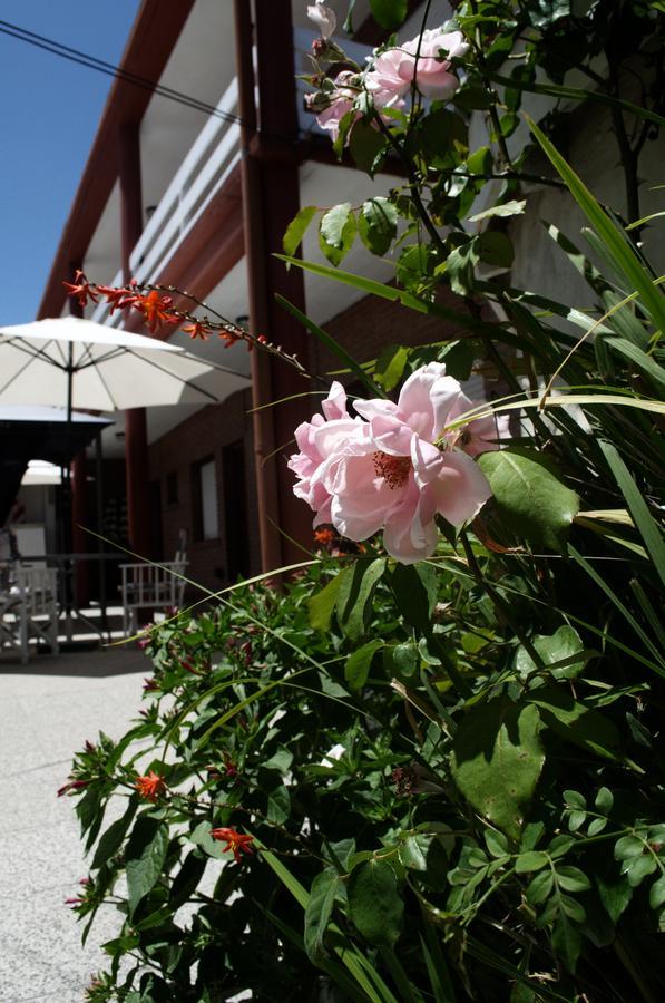 Hosteria Robert Villa Gesell Exteriör bild